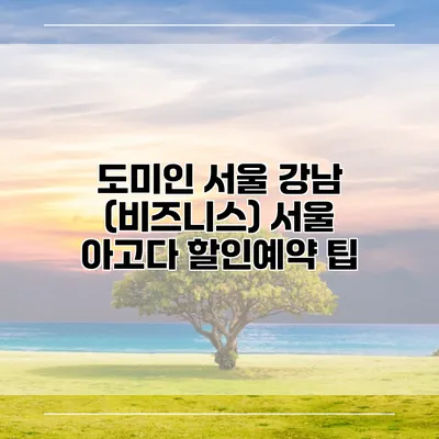 도미인 서울 강남 (비즈니스) 서울 아고다 할인예약 팁
