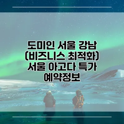 도미인 서울 강남 (비즈니스 최적화) 서울 아고다 특가 예약정보