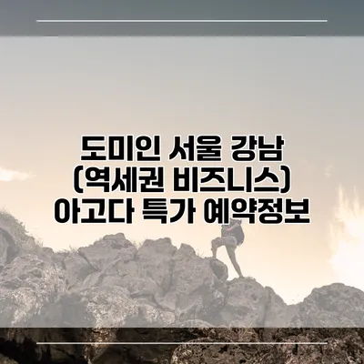 도미인 서울 강남 (역세권 비즈니스) 아고다 특가 예약정보