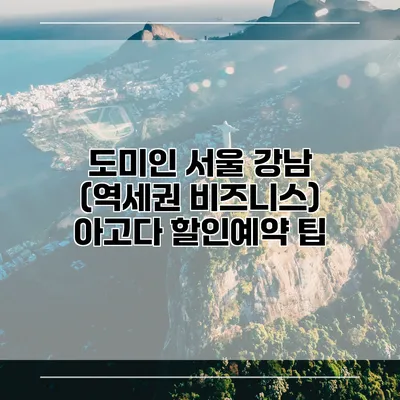도미인 서울 강남 (역세권 비즈니스) 아고다 할인예약 팁