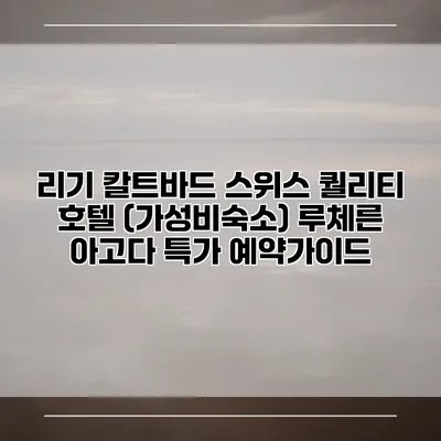 리기 칼트바드 스위스 퀄리티 호텔 (가성비숙소) 루체른 아고다 특가 예약가이드