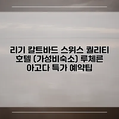 리기 칼트바드 스위스 퀄리티 호텔 (가성비숙소) 루체른 아고다 특가 예약팁