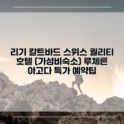 리기 칼트바드 스위스 퀄리티 호텔 (가성비숙소) 루체른 아고다 특가 예약팁