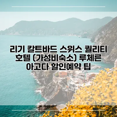 리기 칼트바드 스위스 퀄리티 호텔 (가성비숙소) 루체른 아고다 할인예약 팁