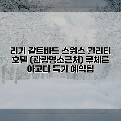 리기 칼트바드 스위스 퀄리티 호텔 (관광명소근처) 루체른 아고다 특가 예약팁