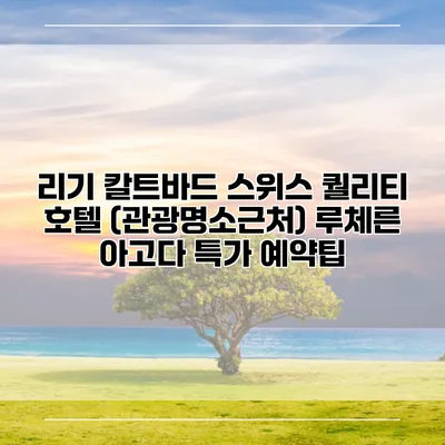 리기 칼트바드 스위스 퀄리티 호텔 (관광명소근처) 루체른 아고다 특가 예약팁