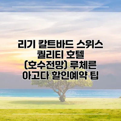 리기 칼트바드 스위스 퀄리티 호텔 (호수전망) 루체른 아고다 할인예약 팁