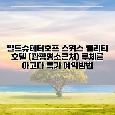 발트슈테터호프 스위스 퀄리티 호텔 (관광명소근처) 루체른 아고다 특가 예약방법