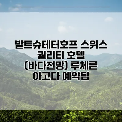 발트슈테터호프 스위스 퀄리티 호텔 (바다전망) 루체른 아고다 예약팁