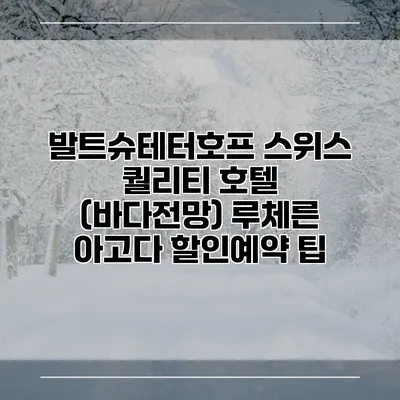 발트슈테터호프 스위스 퀄리티 호텔 (바다전망) 루체른 아고다 할인예약 팁