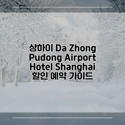 상하이 Da Zhong Pudong Airport Hotel Shanghai 할인 예약 가이드