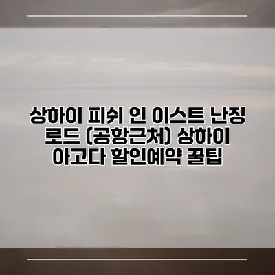 상하이 피쉬 인 이스트 난징 로드 (공항근처) 상하이 아고다 할인예약 꿀팁