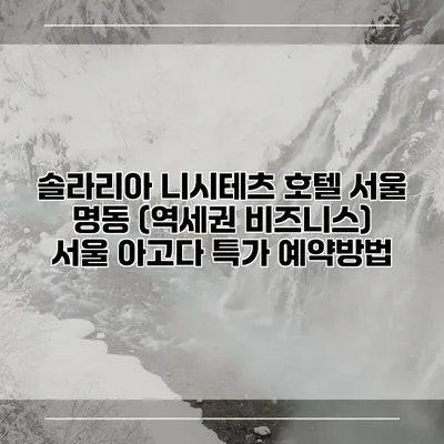 솔라리아 니시테츠 호텔 서울 명동 (역세권 비즈니스) 서울 아고다 특가 예약방법