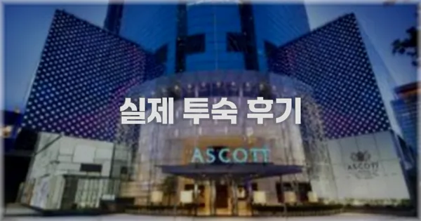 💬 실제 투숙 후기