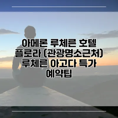 아메론 루체른 호텔 플로라 (관광명소근처) 루체른 아고다 특가 예약팁