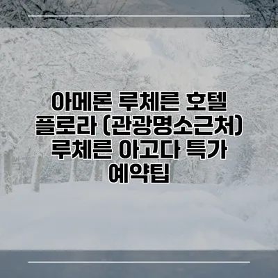 아메론 루체른 호텔 플로라 (관광명소근처) 루체른 아고다 특가 예약팁