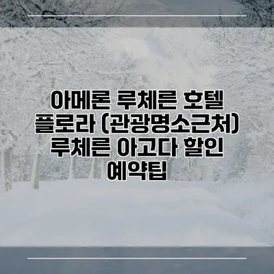 아메론 루체른 호텔 플로라 (관광명소근처) 루체른 아고다 할인 예약팁