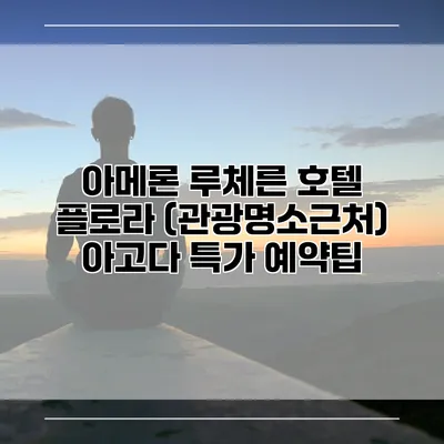 아메론 루체른 호텔 플로라 (관광명소근처) 아고다 특가 예약팁