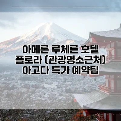 아메론 루체른 호텔 플로라 (관광명소근처) 아고다 특가 예약팁