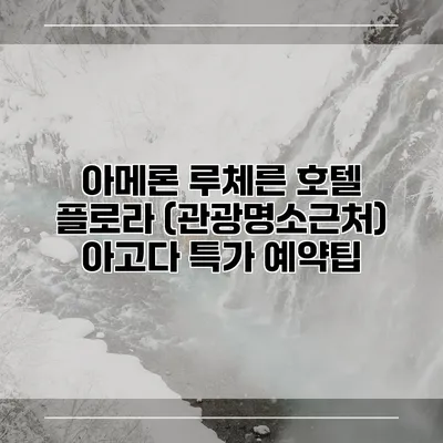 아메론 루체른 호텔 플로라 (관광명소근처) 아고다 특가 예약팁