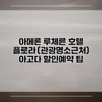 아메론 루체른 호텔 플로라 (관광명소근처) 아고다 할인예약 팁
