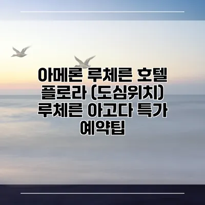 아메론 루체른 호텔 플로라 (도심위치) 루체른 아고다 특가 예약팁