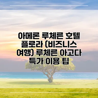 아메론 루체른 호텔 플로라 (비즈니스 여행) 루체른 아고다 특가 이용 팁