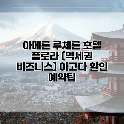 아메론 루체른 호텔 플로라 (역세권 비즈니스) 아고다 할인 예약팁