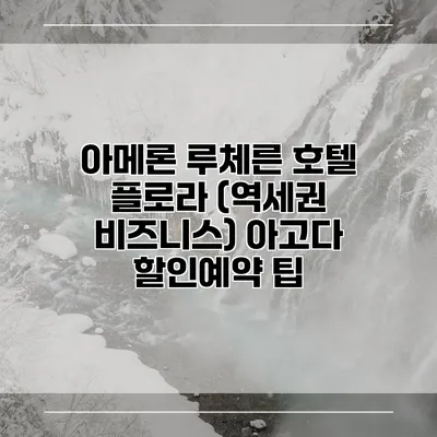 아메론 루체른 호텔 플로라 (역세권 비즈니스) 아고다 할인예약 팁