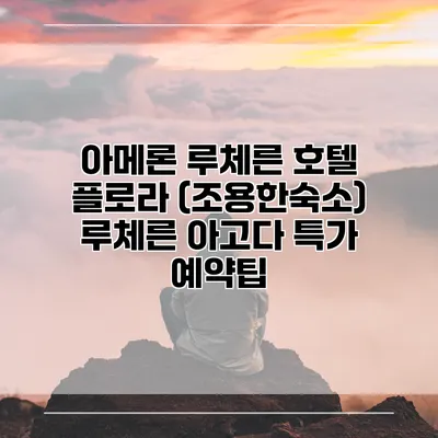 아메론 루체른 호텔 플로라 (조용한숙소) 루체른 아고다 특가 예약팁