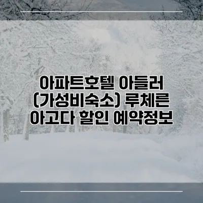 아파트호텔 아들러 (가성비숙소) 루체른 아고다 할인 예약정보