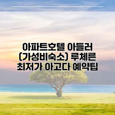 아파트호텔 아들러 (가성비숙소) 루체른 최저가 아고다 예약팁