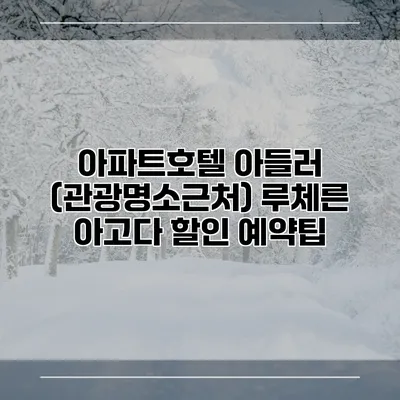 아파트호텔 아들러 (관광명소근처) 루체른 아고다 할인 예약팁