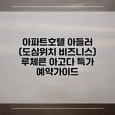 아파트호텔 아들러 (도심위치 비즈니스) 루체른 아고다 특가 예약가이드