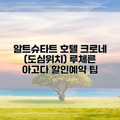 알트슈타트 호텔 크로네 (도심위치) 루체른 아고다 할인예약 팁