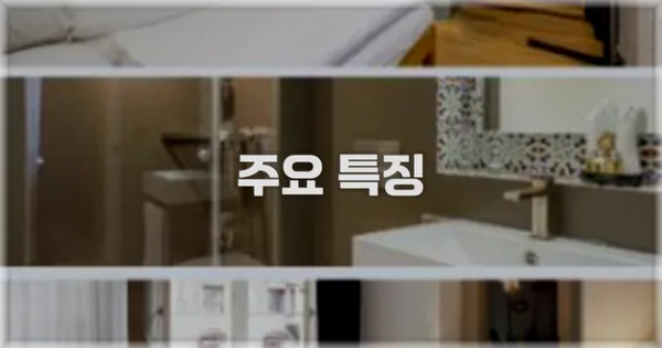 ✨ 주요 특징