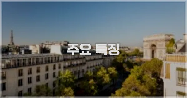 ✨ 주요 특징