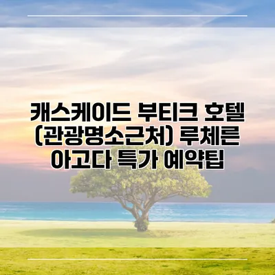 캐스케이드 부티크 호텔 (관광명소근처) 루체른 아고다 특가 예약팁