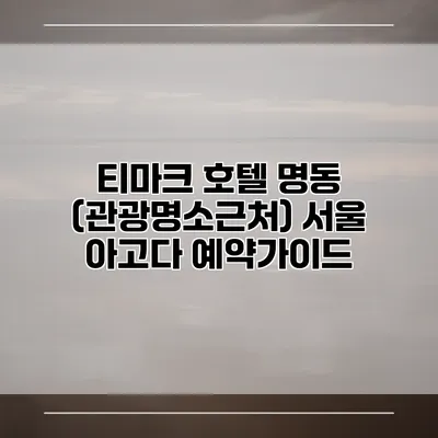 티마크 호텔 명동 (관광명소근처) 서울 아고다 예약가이드