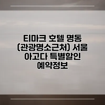 티마크 호텔 명동 (관광명소근처) 서울 아고다 특별할인 예약정보