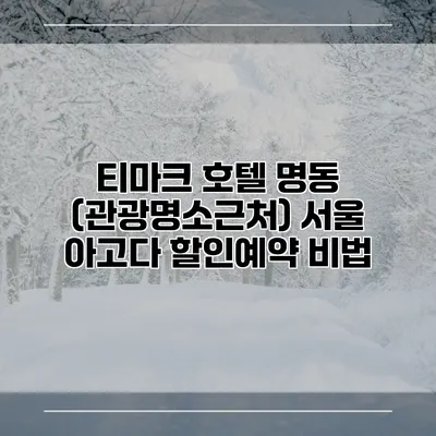 티마크 호텔 명동 (관광명소근처) 서울 아고다 할인예약 비법