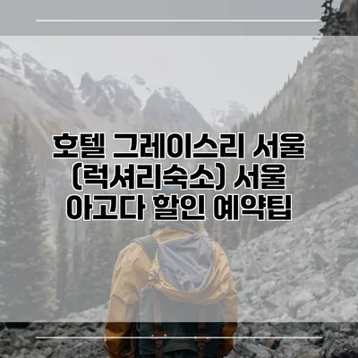 호텔 그레이스리 서울 (럭셔리숙소) 서울 아고다 할인 예약팁