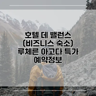 호텔 데 밸런스 (비즈니스 숙소) 루체른 아고다 특가 예약정보