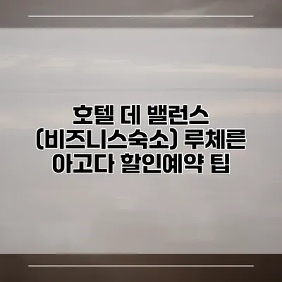 호텔 데 밸런스 (비즈니스숙소) 루체른 아고다 할인예약 팁