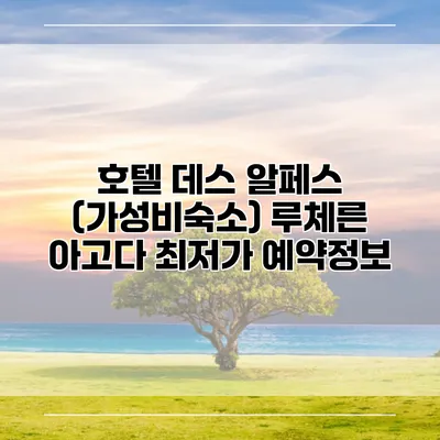 호텔 데스 알페스 (가성비숙소) 루체른 아고다 최저가 예약정보