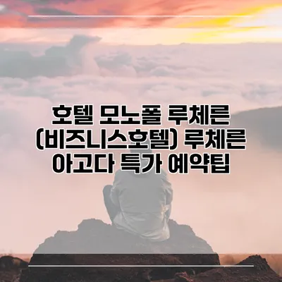 호텔 모노폴 루체른 (비즈니스호텔) 루체른 아고다 특가 예약팁