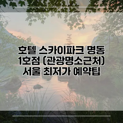 호텔 스카이파크 명동 1호점 (관광명소근처) 서울 최저가 예약팁