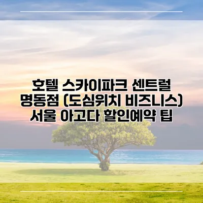 호텔 스카이파크 센트럴 명동점 (도심위치 비즈니스) 서울 아고다 할인예약 팁