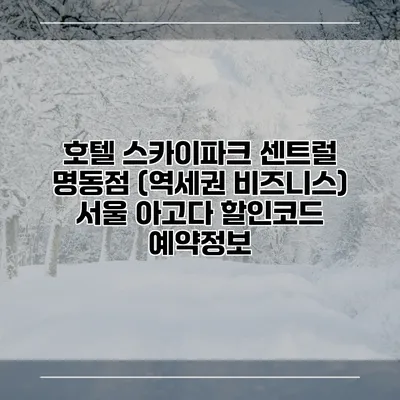 호텔 스카이파크 센트럴 명동점 (역세권 비즈니스) 서울 아고다 할인코드 예약정보