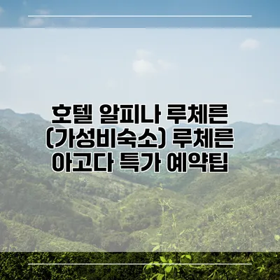 호텔 알피나 루체른 (가성비숙소) 루체른 아고다 특가 예약팁